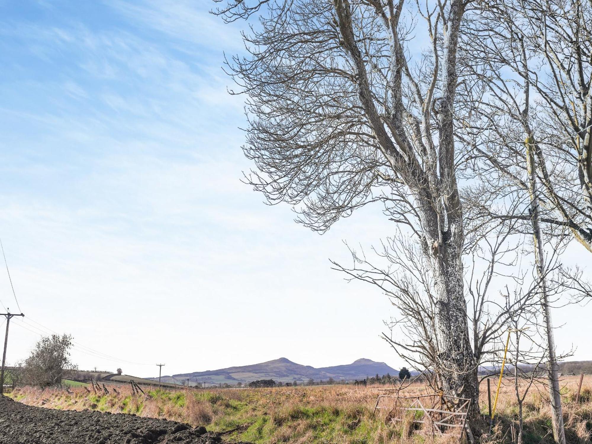 The Old Shepherds Cottage Pitlessie ภายนอก รูปภาพ